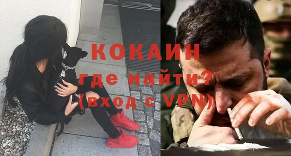 кокс Алзамай