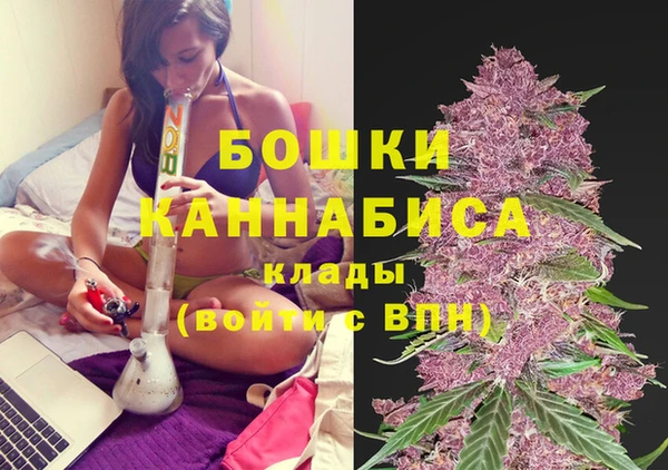 винт Алексин