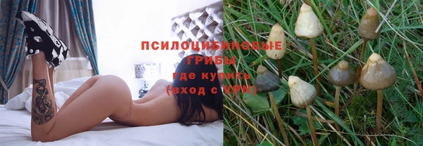кокс Алзамай