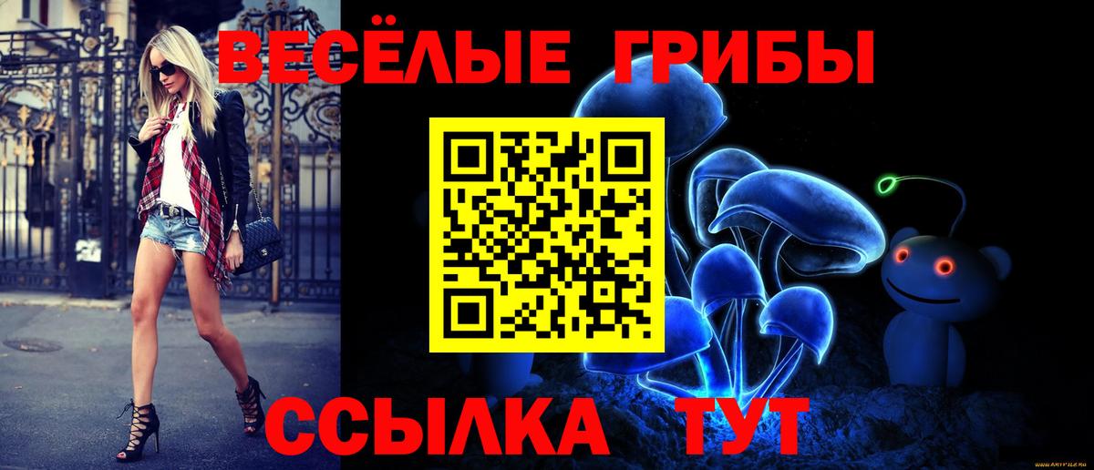 Галлюциногенные грибы GOLDEN TEACHER Самара