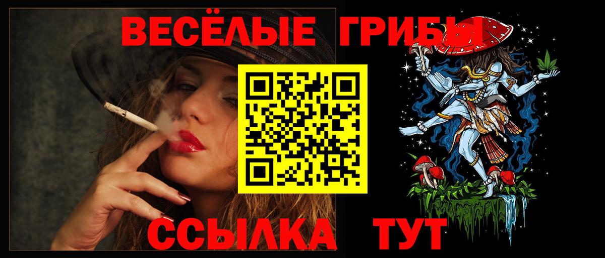 Галлюциногенные грибы Cubensis  Вход с VPN  Самара 